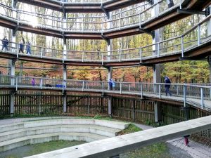 Baumwipfelpfad Aufstieg Prora