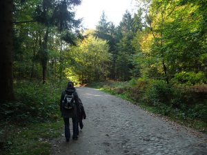 Wandern im Herbst in der Granitz