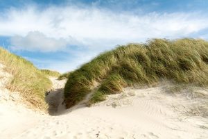 strand dünen sonne
