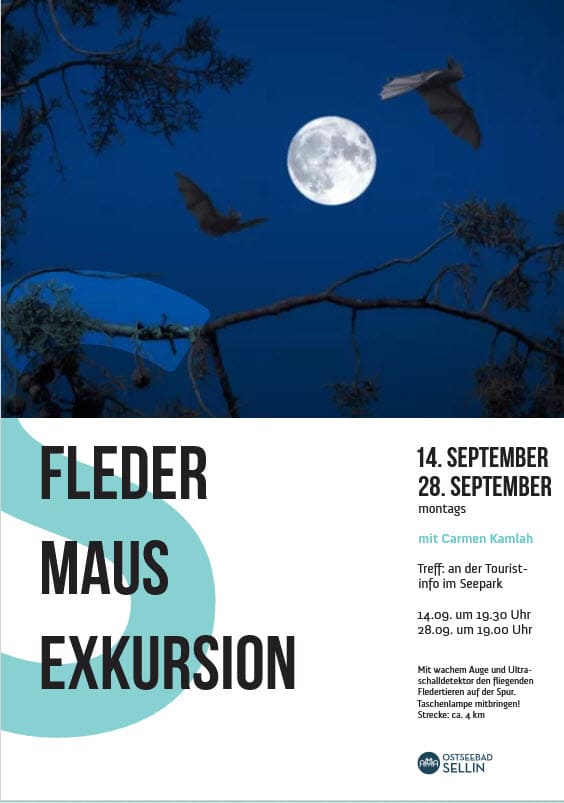 fledermaus exkursion plakat